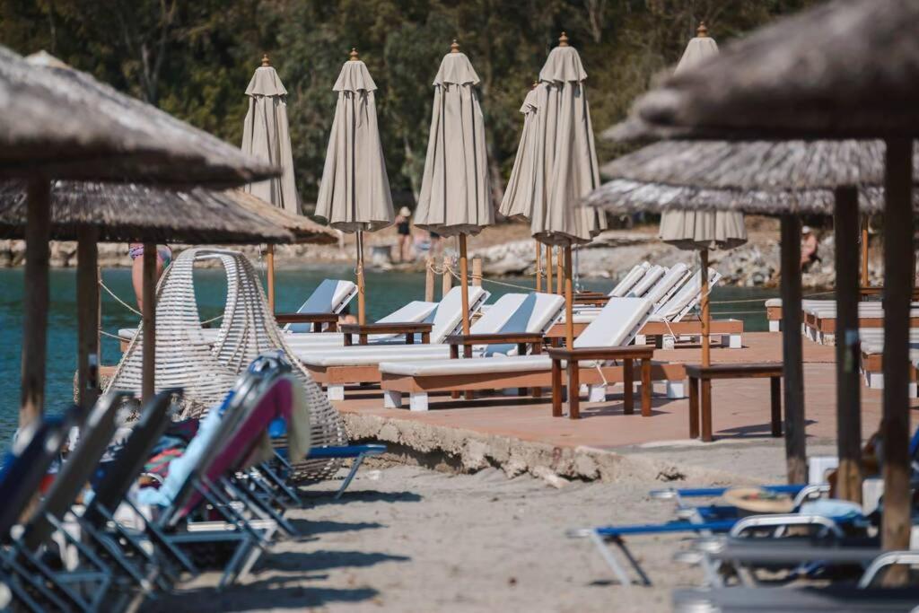 Palmeira Studio بريفيزا المظهر الخارجي الصورة