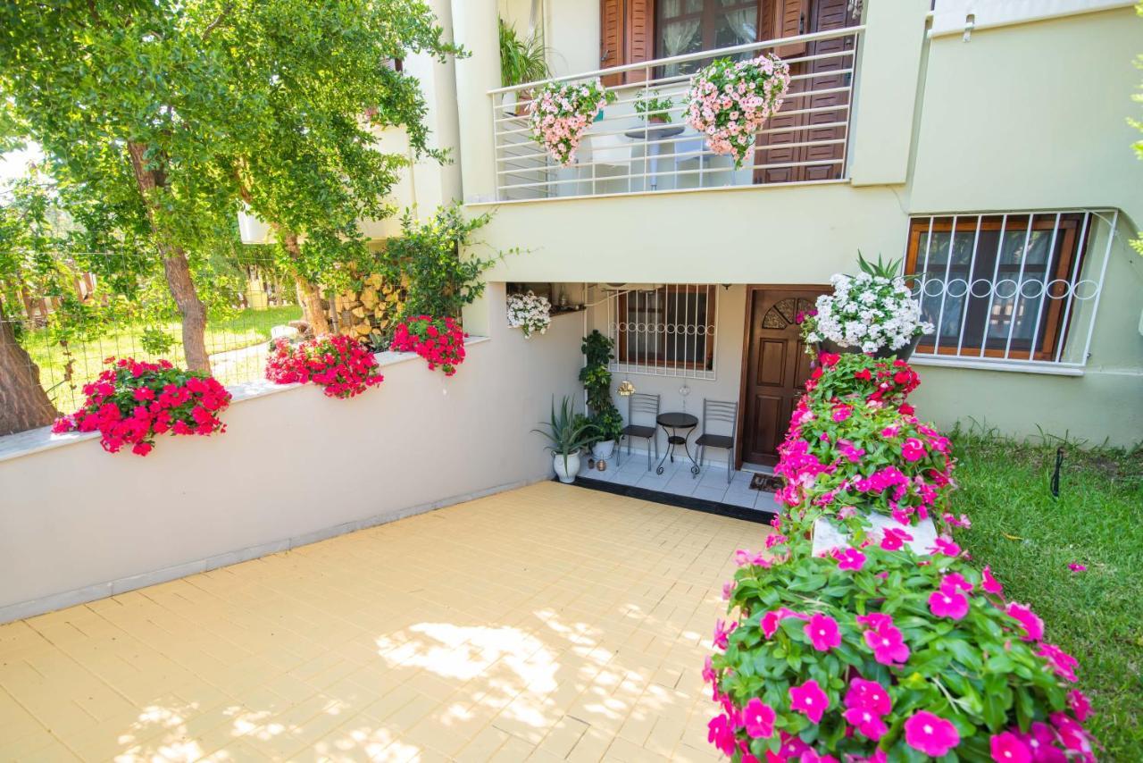 Palmeira Studio بريفيزا المظهر الخارجي الصورة